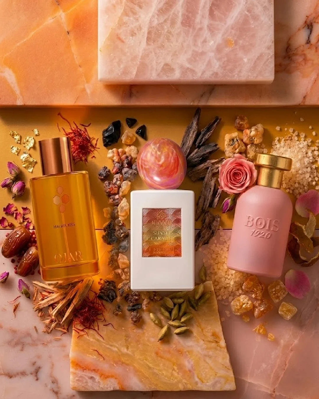 Profumi da donna